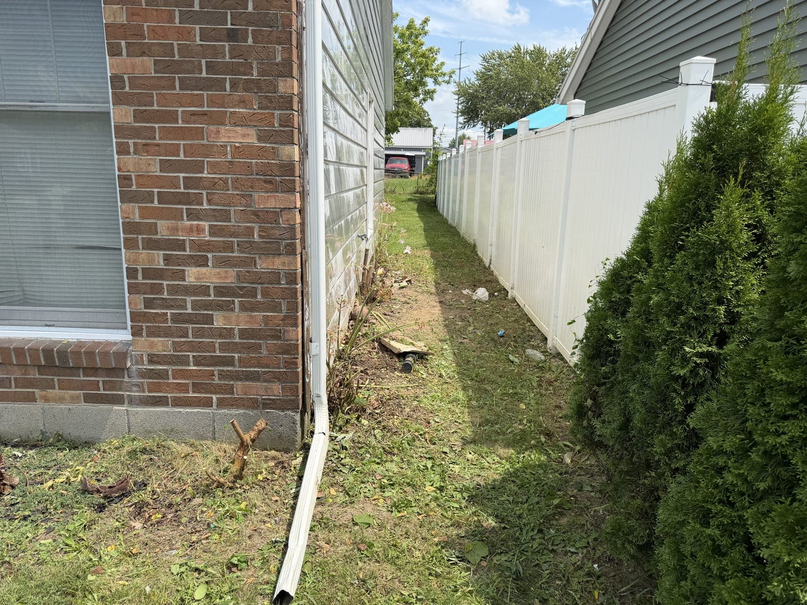 Overgrown Side Yard Cleanup in Lima, OH