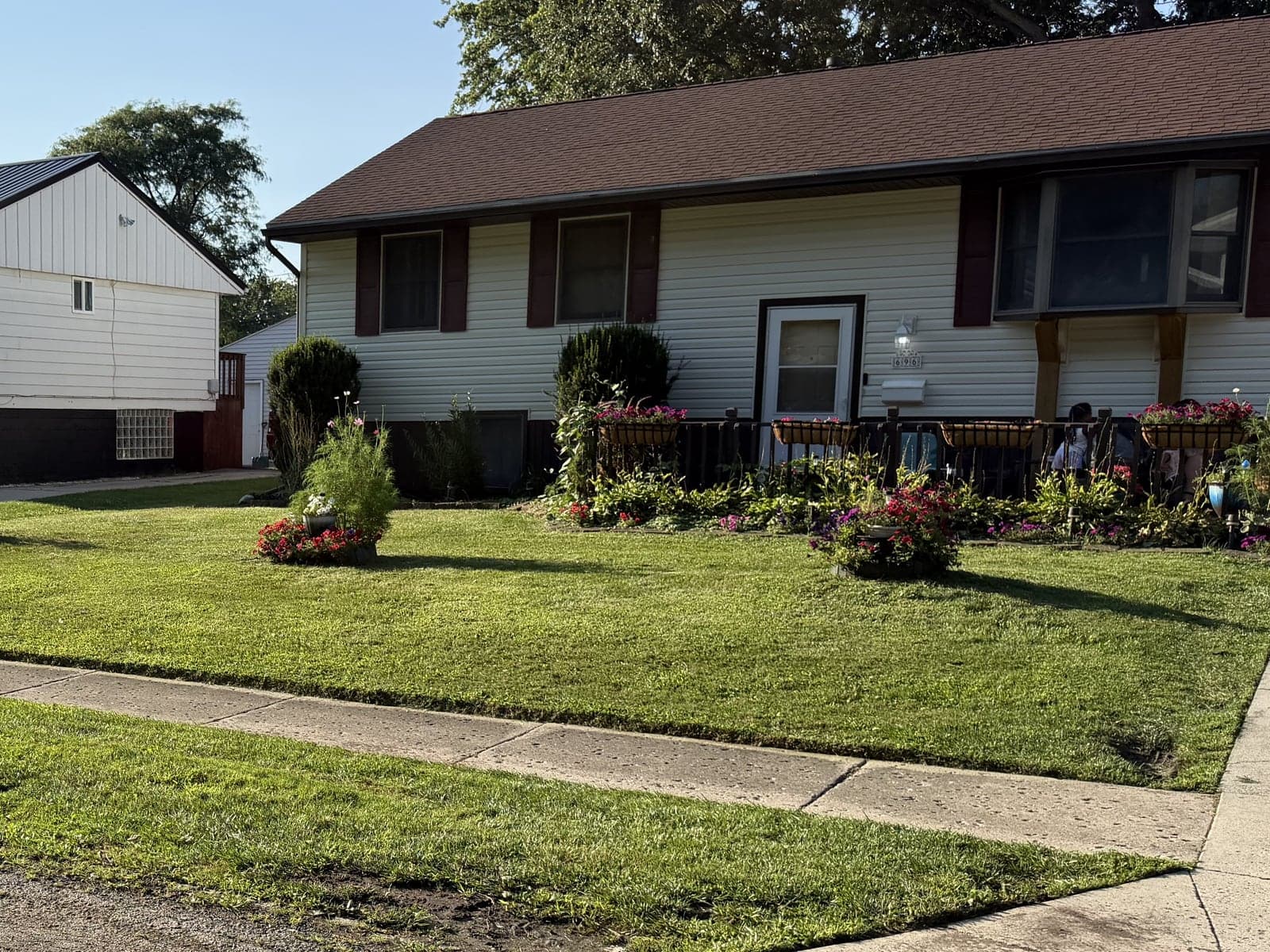 Freshly mowed lawn with a clean, edged curb line at a home in Lima, Ohio