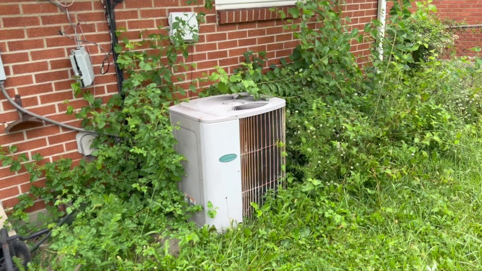 Before: AC Unit & Foundation Cleanup, Lima, OH