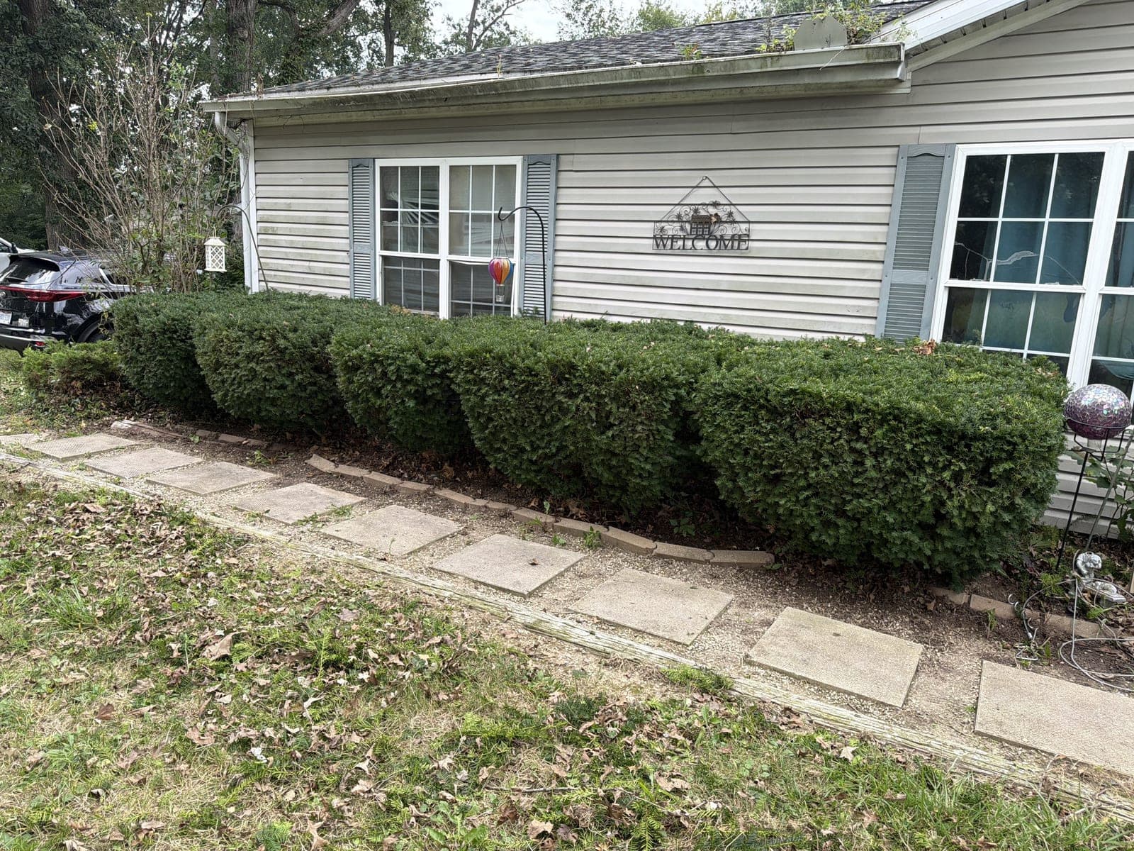 Hedge Row Shaping in Lima, OH