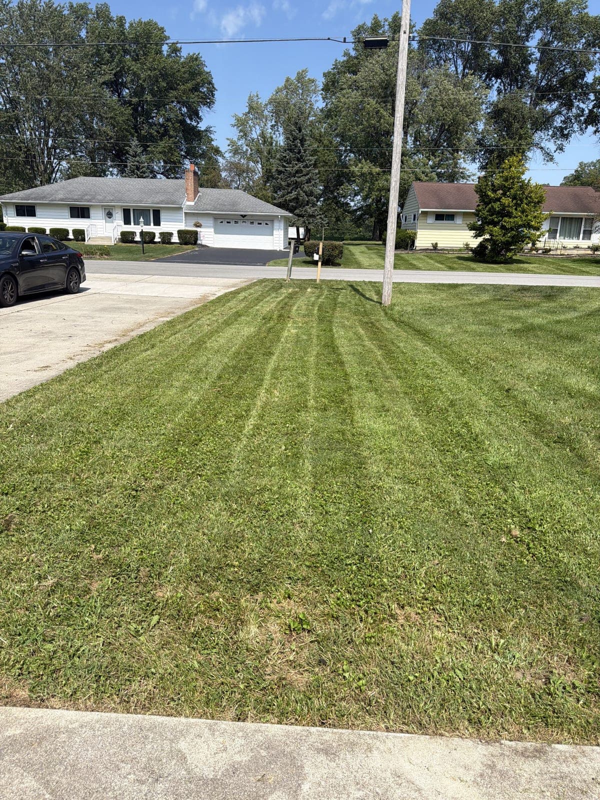Striped Lawn Mowing photo 5