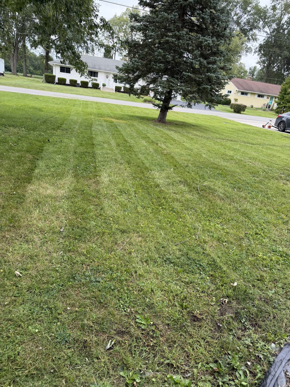 Striped Lawn Mowing photo 6