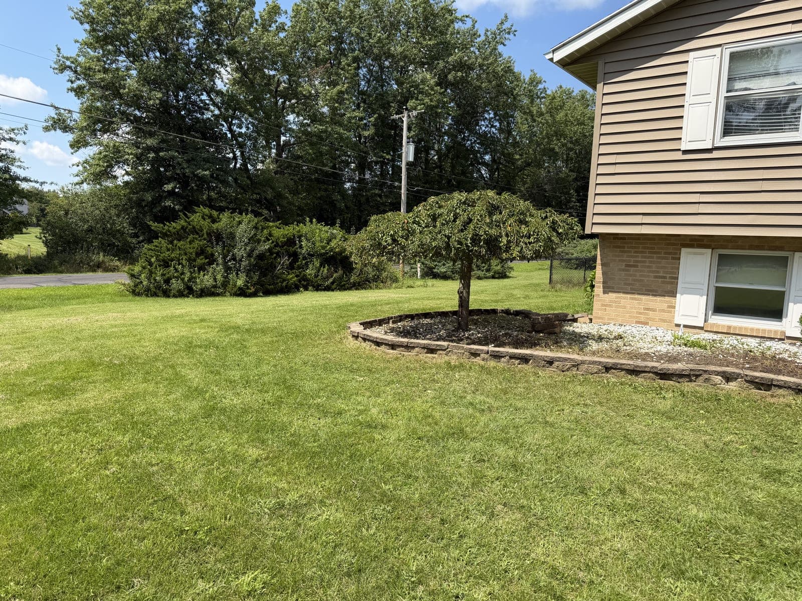 Island Bed Mulch photo 1