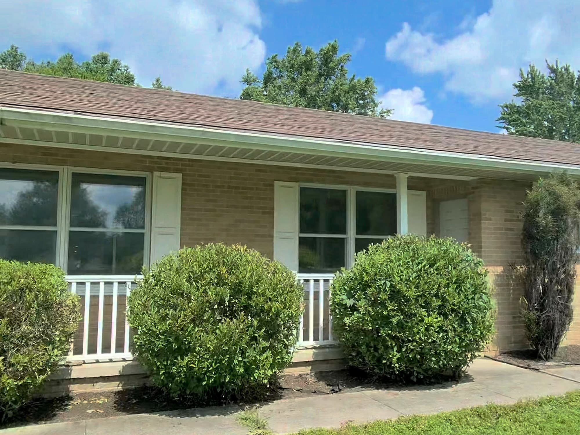 Round, neatly trimmed shrubs in front of a home near Lima, Ohio