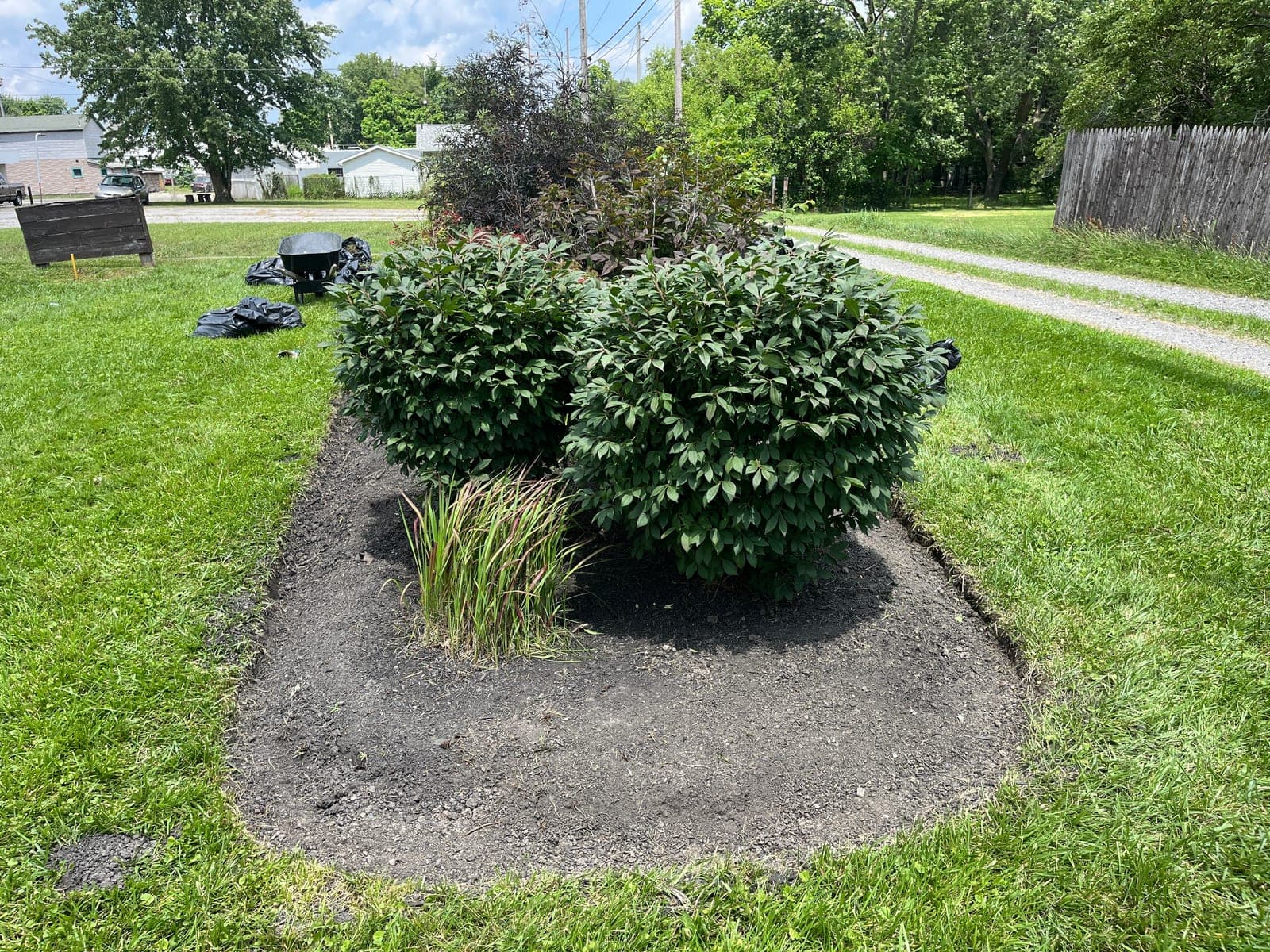 Dark mulch freshly installed around shrubs